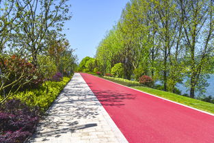 热烈祝贺公司五个项目荣获2018年度杭州市优秀园林绿化工程金奖荣誉