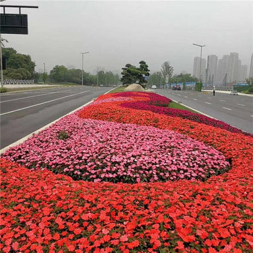 杭州园林绿化工程施工 如何确保价格合理与质量卓越