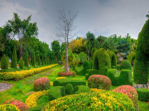 白城市园林绿化工程公司优秀企业推荐 匠心筑绿，品质施工