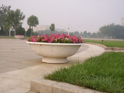 山东潍坊市政园林 设计、施工与苗木采购一站式服务详解