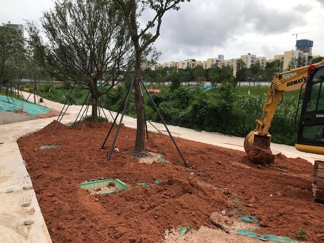 大沙河生态长廊景观项目绿化工程II标段 城市绿肺的诗意构建