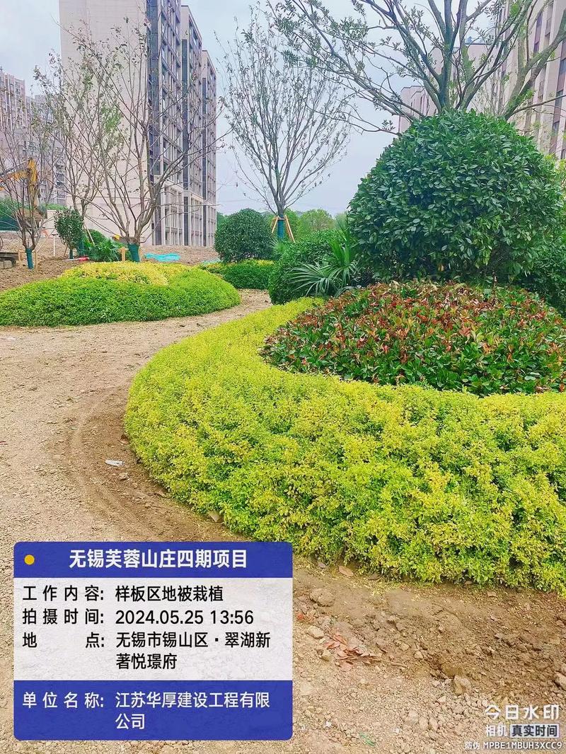 专业的事交给专业的人 园林绿化工程施工的现场真谛