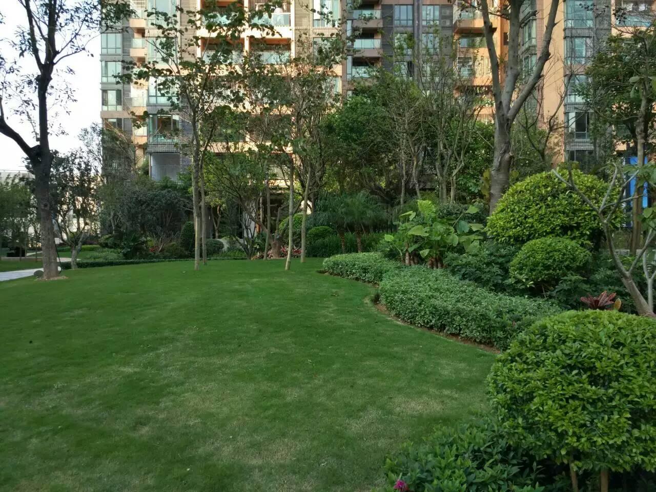 深圳园林工程施工现场管理 园林绿化工程施工的关键环节