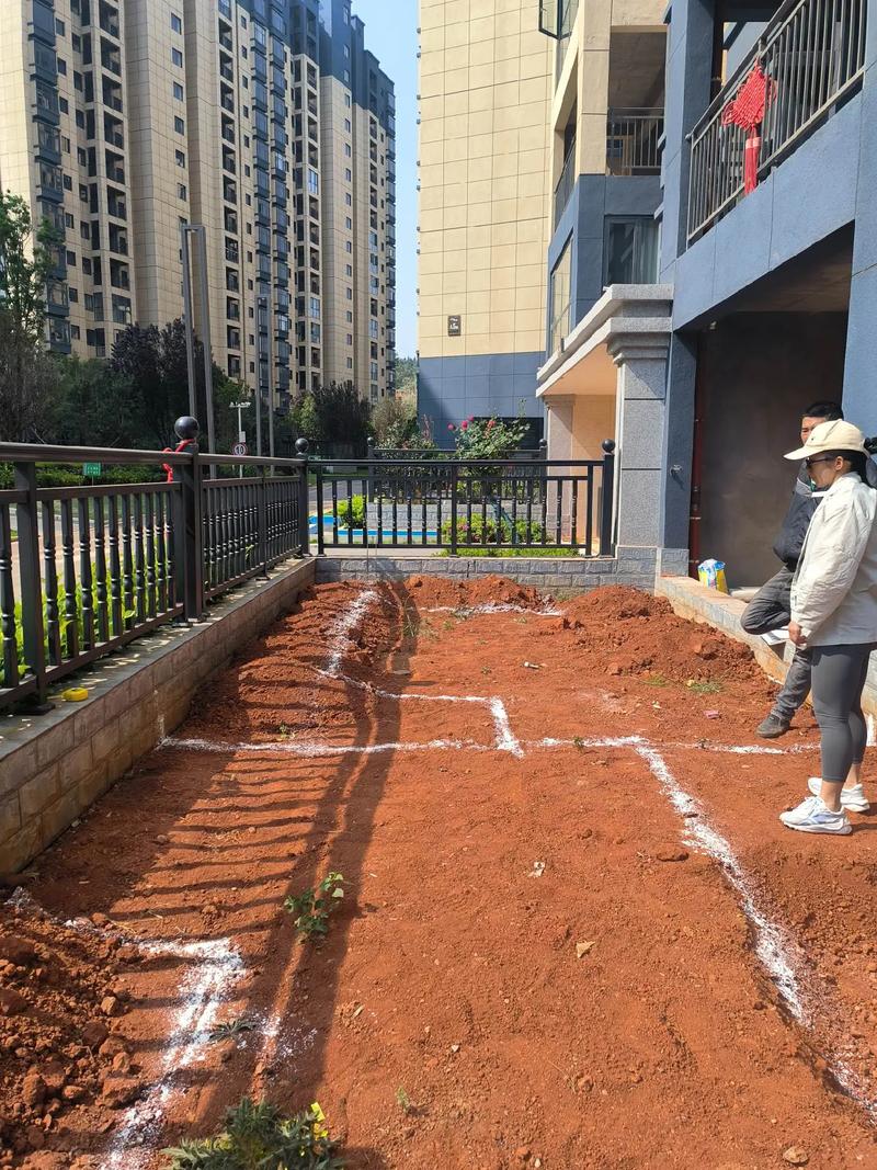 花园放线 一笔一划绘就山水画卷