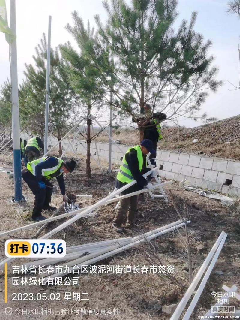 工程人一直在路上 #施工现场实拍 #园林绿化工程 #劳动者是